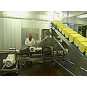 Bulk solids handling